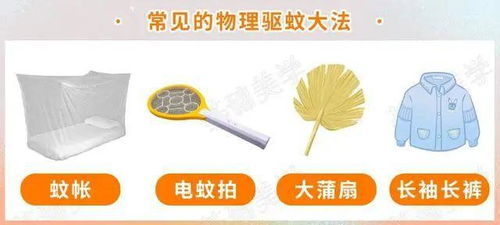 蚊子為何獨(dú)寵你？牙膏的妙用與防蚊科學(xué)