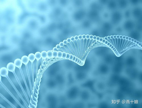 燕窩肽 生物科技賦能下的頂級(jí)護(hù)膚成分解密